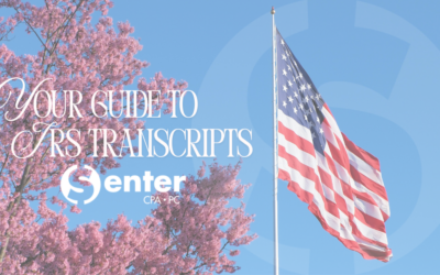 Your Guide to IRS Tax Transcripts